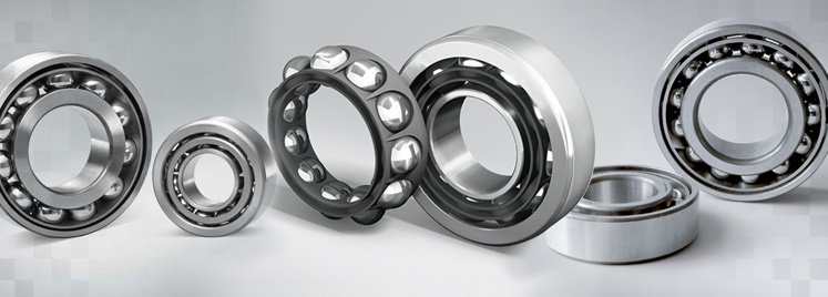 Angular Ball Bearings