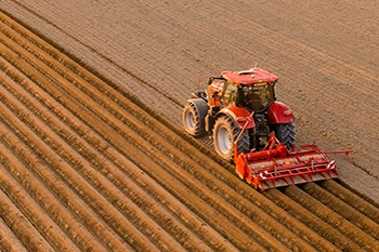 Agriculture 