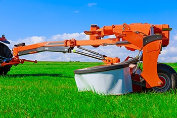 Industrial Lawn 